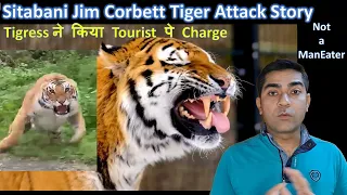 Sitabani Jim Corbett Tiger Attack Story || Whos Fault ?? || Not a Maneater ||