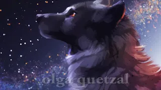 Би 2 Волки уходят в небеса кавер Olga Quetzal