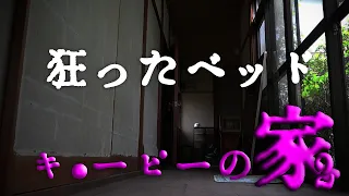 廃墟には老婆だけではなく、もう一人の存在。香典袋の山。断ち切られた営み。カイラスが肩を震わせながら"その"部屋に入って行くと･･･