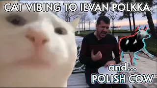 🐈CAT VIBING to Ievan Polkka (POLISH COW🐄 version)