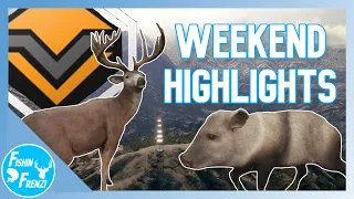 Rancho Delivers Again!! Diamond Whitetail, Leucistic Peccary, & More! | theHunter - Call of the Wild