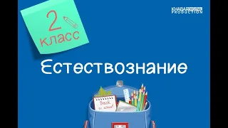 Естествознание. 2 класс. Как не опоздать на урок /10.02.2021/