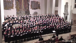 10 Jahre Domsingschule Stuttgart - Wir Chöre für ein Halleluja! "Hallelujah" G. F. Händel (19.02.17)