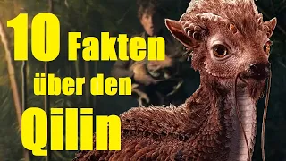 10 FAKTEN über das QILIN ❤