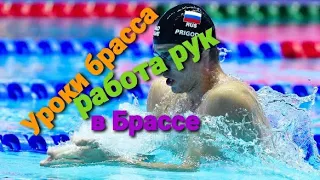 БРАСС. КАК НАУЧИТЬСЯ ПЛАВАТЬ БРАССОМ. УРОК №2 РАБОТА РУК. ТЕОРИЯ ЧАСТЬ 1.