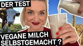 Pflanzenmilch: So machst du Milchalternativen selbst (Sojamilch, Mandelmilch, Hafermilch)