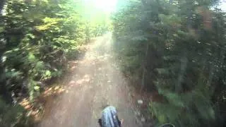 Hit a big bird while riding fast on a 2005 crf450r.