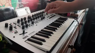 Korg Minilogue Synth Jam // "Heartbeat of the Primordial"