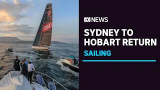 Sydney-Hobart Yacht Race organisers 'confident' race will return in 2021 | ABC News