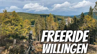 Bikepark Willingen I Die neue Freerideline 2022 Vorstellung I Nakidaii Stlye #79