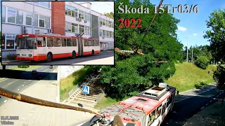 Škoda 15Tr03/6 (Vilnius) #2603 Vaizdas nuo troleibuso "ūso" (2022)