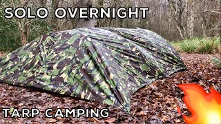 Solo Overnight Tarp Camping In The Woods - Arch Tarp Shelter