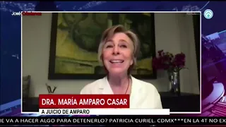 Se aplica Plan b de la Reforma Electoral: María Amparo Casar