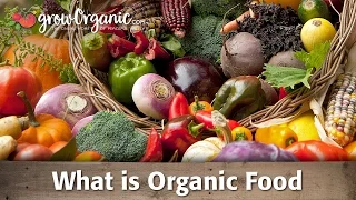 What is Organic Food?