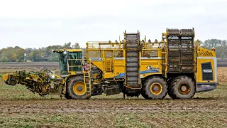 ROPA TIGER 6s - 15-meter beet harvester in action