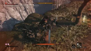 SEKIRO: Gravity fails me