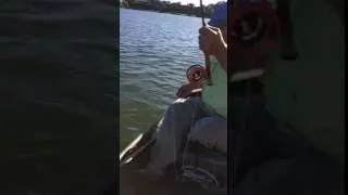 First fish in new Tracker Jon Boat