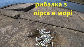 Рибалка в Чорном морі в Одесі