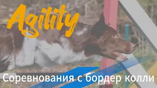 Мы это сделали 🙈😁 соревнования по аджилити с бк