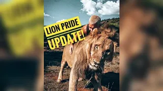 DEAN SCHNEIDER LION PRIDE UPDATE | LEO & DEXTER! LION PRIDE DOMINANT