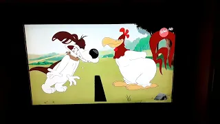 Looney Tunes cartoons in italiano 🇮🇹 | Foghorn leghorn fa uno scherzo a barnyard dog