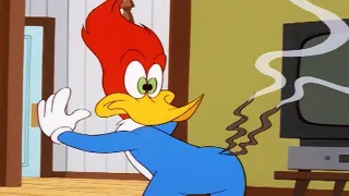 Woody Woodpecker Show | Downsized Woody | Full Episode | Cartoons For Kids