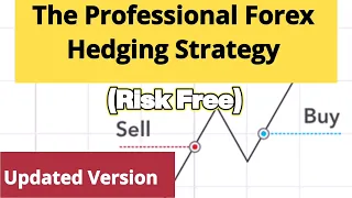 Professional Risk Free Forex Hedging Strategy