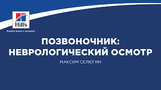 Вебинар на тему: «Позвоночник: неврологический осмотр». Лектор - Максим Селюгин.