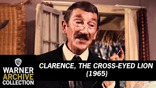 Preview Clip | Clarence, the Cross-Eyed Lion | Warner Archive