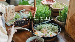 #36 Ten Simple Microgreens & Sprouts Recipes 🤤 | Seed to Table