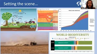 Sustainable & Healthy Food Systems