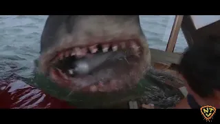 NTV Cuts and Reverses The Finale of JAWS (1975)