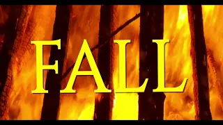 The Reversalist - Falling Embers (Official Lyric Video)