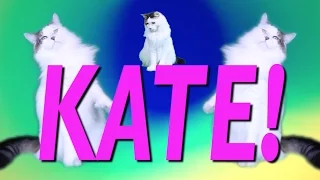 ¡FELIZ CUMPLEAÑOS KATE! Canción Comica de Cumpleaños