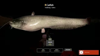 Russian Fishing 4 Trophy Catfish 110kg