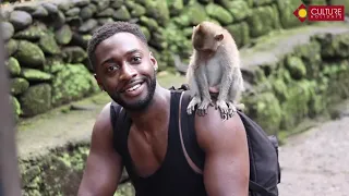 Playing With Monkey | Monkey Forest Ubud Bali | Bali Travel Guide | Adventure Travel