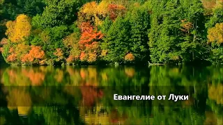 Евангелие от Луки / Глава 14