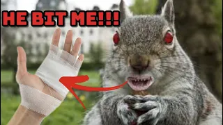 Hunting the world's most dangerous rodent!