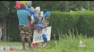 Community mourns 3-year-old Lowell boy found dead in pond