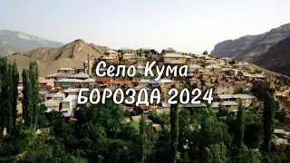 Село Кума. День первой борозды 2024. Гасанов Магомед