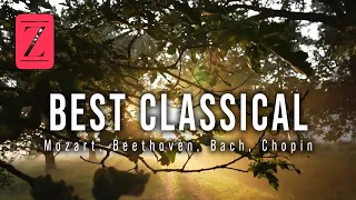 [1.5 Hours] ⏱ Best Classical Music 🎵.🕊