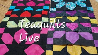 Teaquilts Live 21-21-22 Optional Block Showing & Drawing