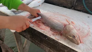 how to fillet a redfish and not waste any meat