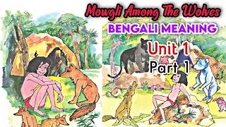 Mowgli Among The Wolves Class 7| Unit 1 Part 1| Quick English In Bengali