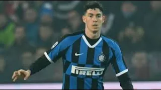 Alessandro Bastoni 2020 - Skills And Goals - Inter Milan