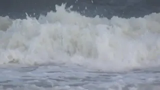 Woman in critical condition after being bitten by shark at NYC beach