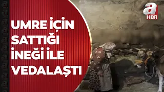 Erzurumlu Nazmiye nine umreye gitmek için sattığı ineğiyle vedalaştı | A Haber