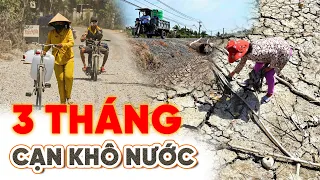 Không thể tin khô hạn 3 tháng thèm khát nước tận cùng ở vùng hạn mặn I Phong Bụi