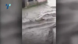 Инсерти Прилеп поплави