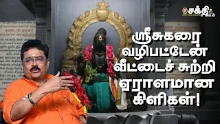 ஶ்ரீசுகப்பிரம்மத்துக்கு சந்நிதி எடுக்கலாம் என்று விரும்பினேன். அப்போது... | S.VE.சேகர் |